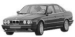 BMW E34 P06C3 Fault Code