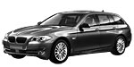 BMW F11 P06C3 Fault Code